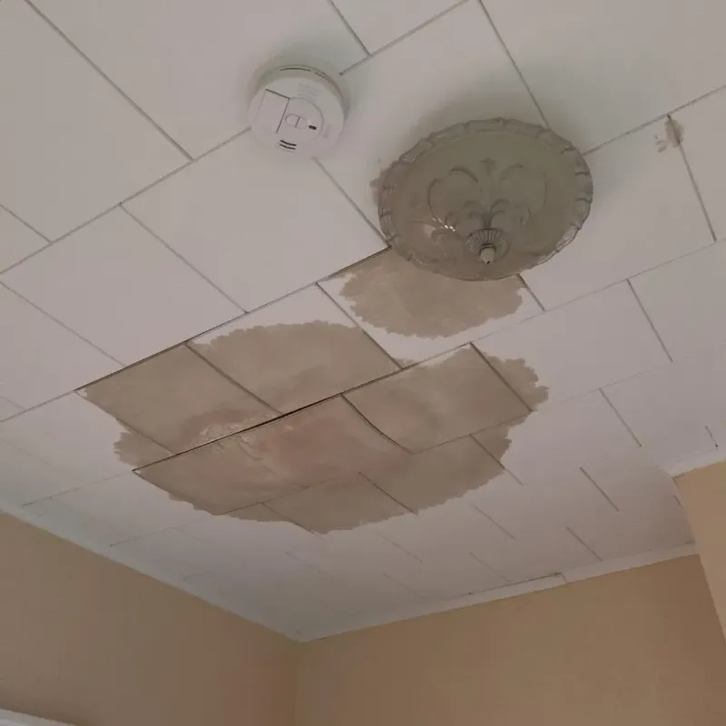 Ceiling Water Damage Repair in Pleasant Hill, PA