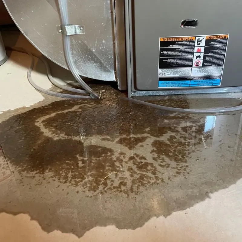 Pipe Burst and Leak Restoration in Pleasant Hill, PA