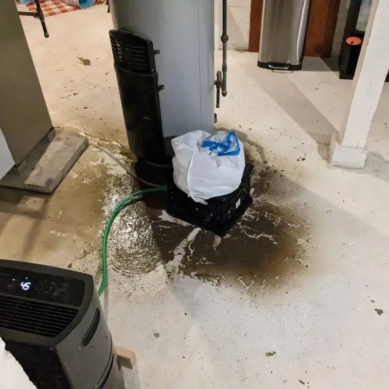 Sewage Backup Cleanup Service in Pleasant Hill, PA